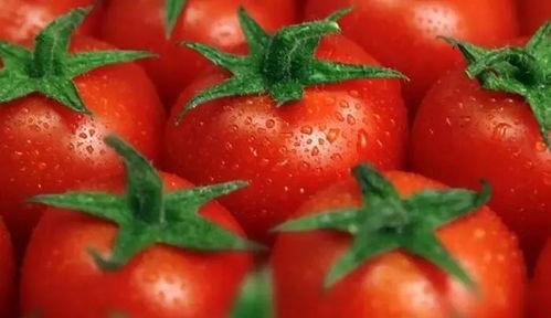 朝堂吃瓜番茄小说免费阅读 第2张 朝堂吃瓜番茄小说免费阅读 第2张